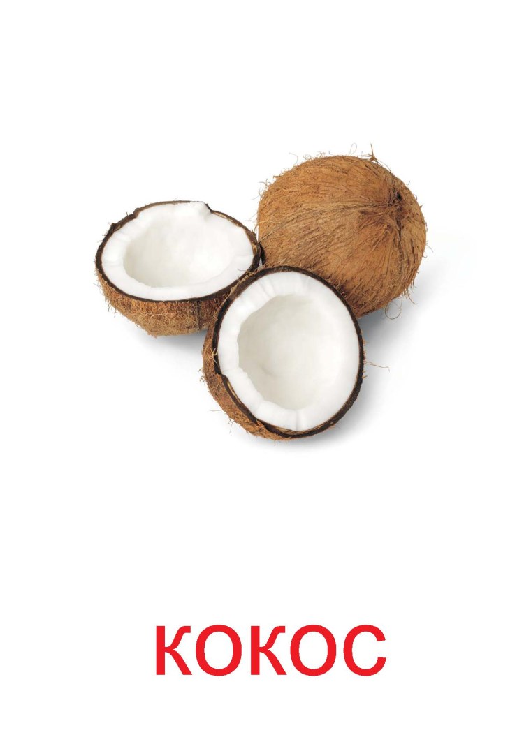 Кокос на белом фоне