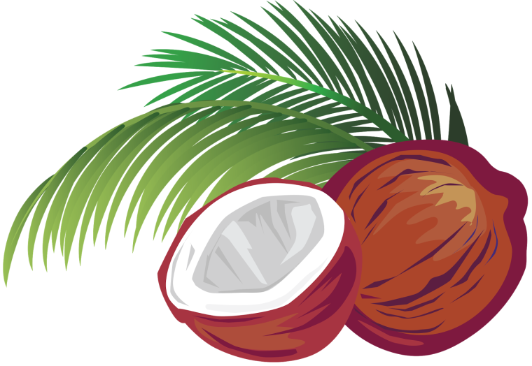 Нарисовать Кокос