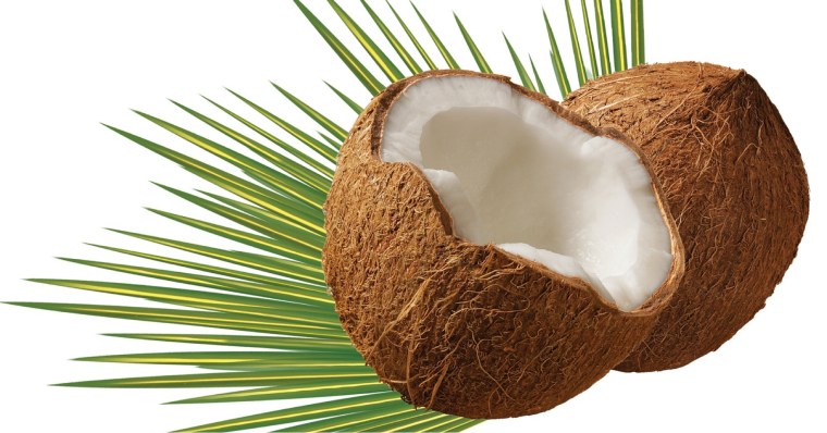 Кокос на белом фоне