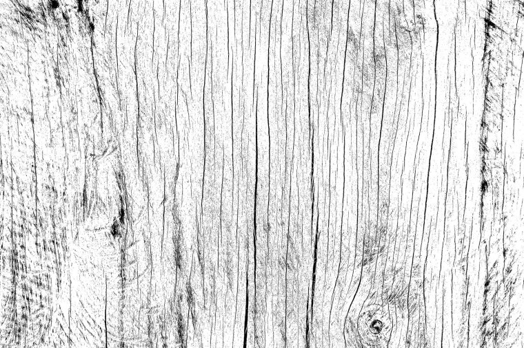 Дерево бамп