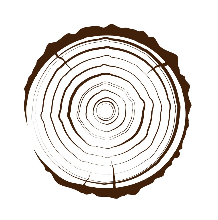 Срез дерева вектор