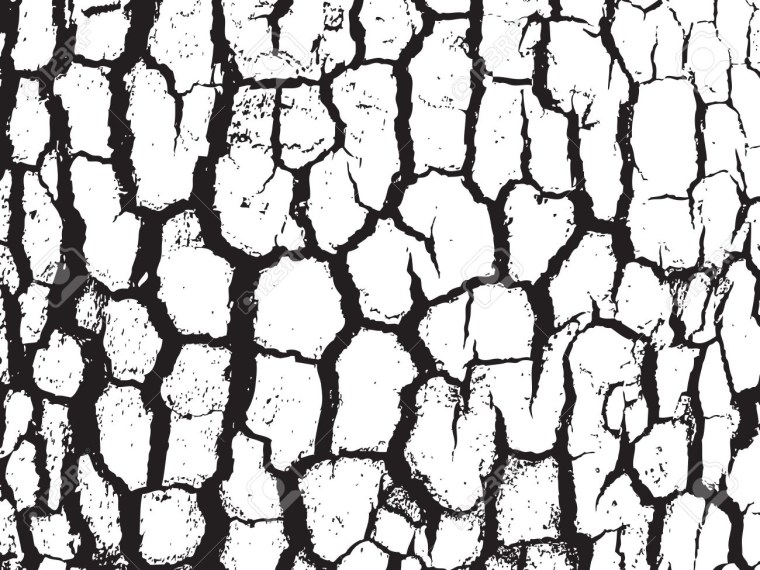Фактура коры дерева Графика
