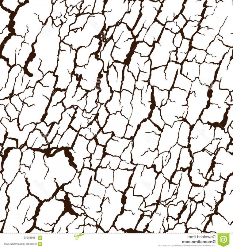 Текстура коры дерева