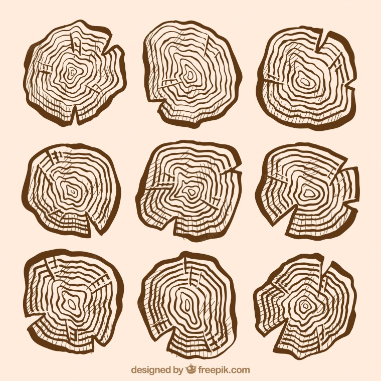 Спил дерева вектор