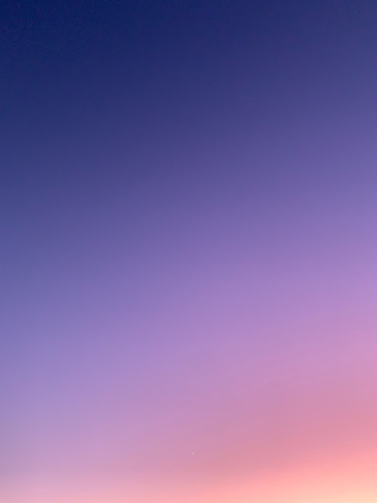 Однотоныые красивые цевт а