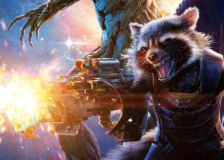 Рождественский енот ракета