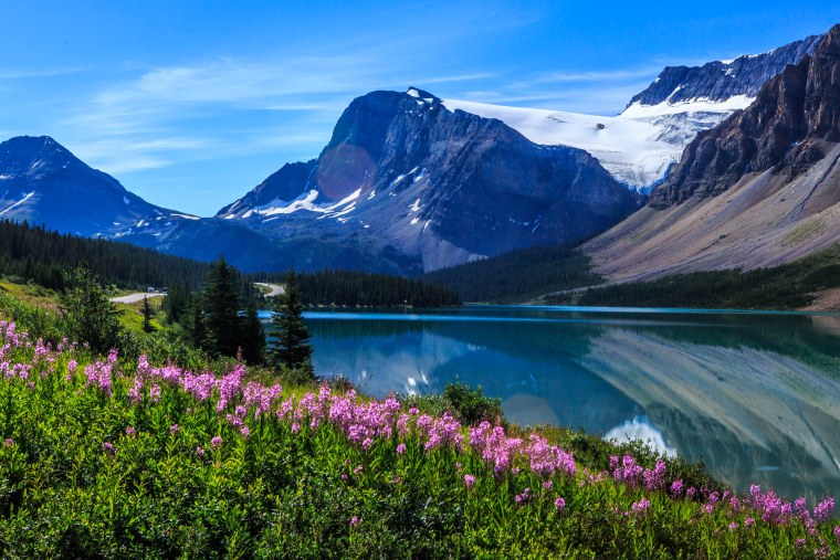 Цветущие пейзажи