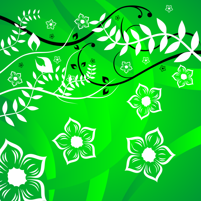 Зеленый фон для рисования