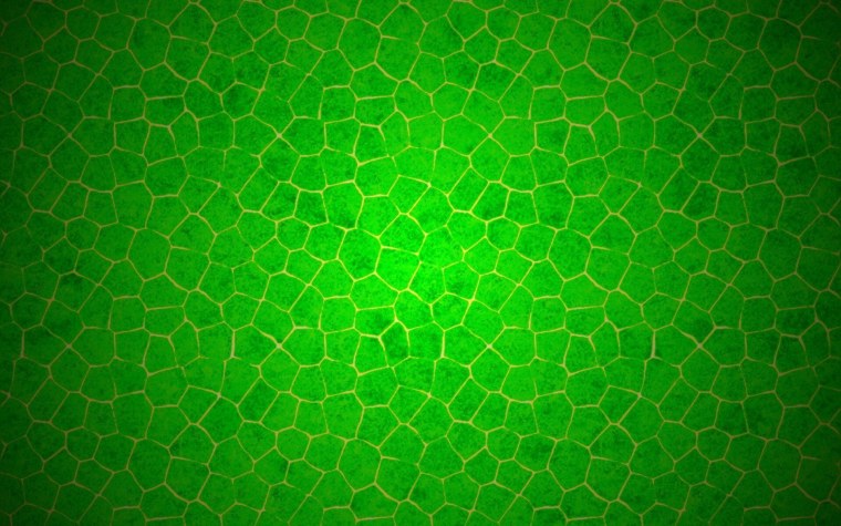 Зеленые обои