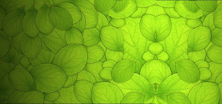 Светло зеленая текстура