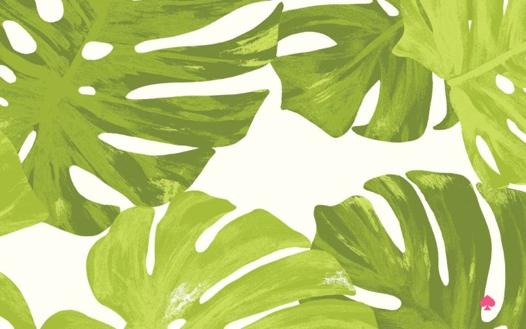 Зеленые листья на белом фоне