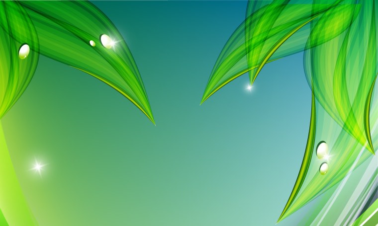 Салатовый фон