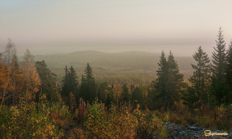Тайга Северного Урала