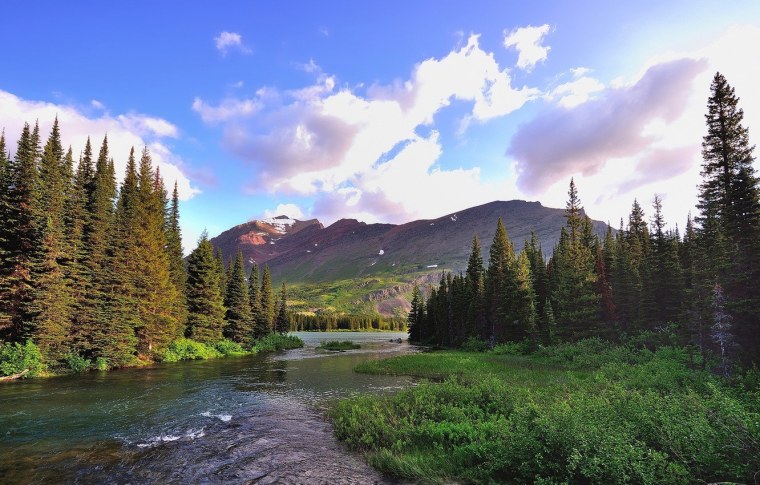 Горы лес река