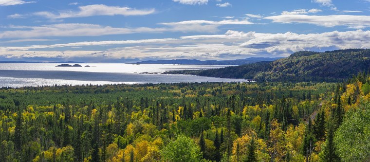 Тайга река Красноярск