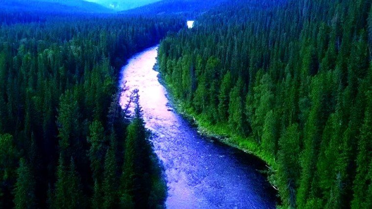 Тайга река Красноярск