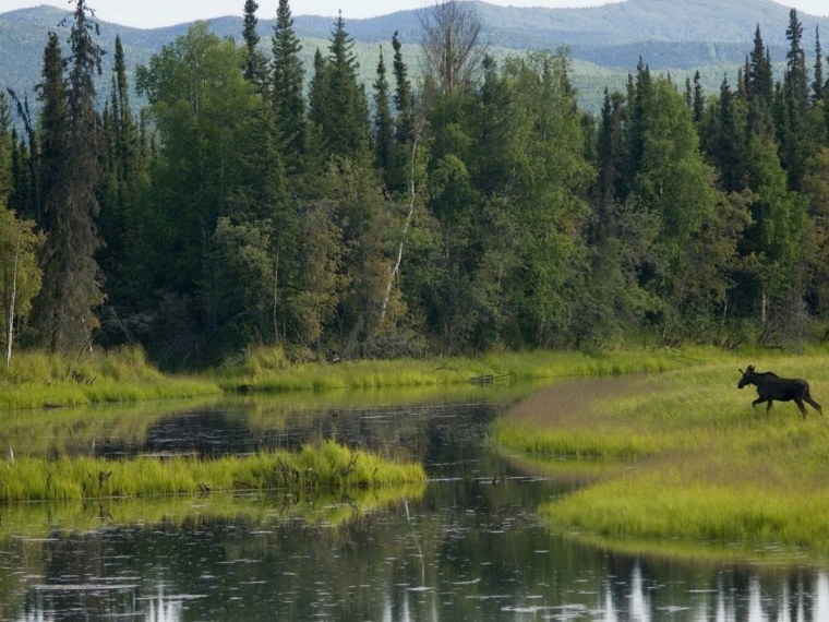 Таежный болотистые озера