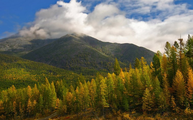 Восточная Сибирь Восточная Сибирская Тайга