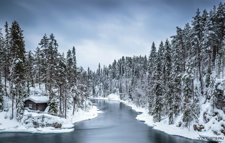 Зимняя Тайга