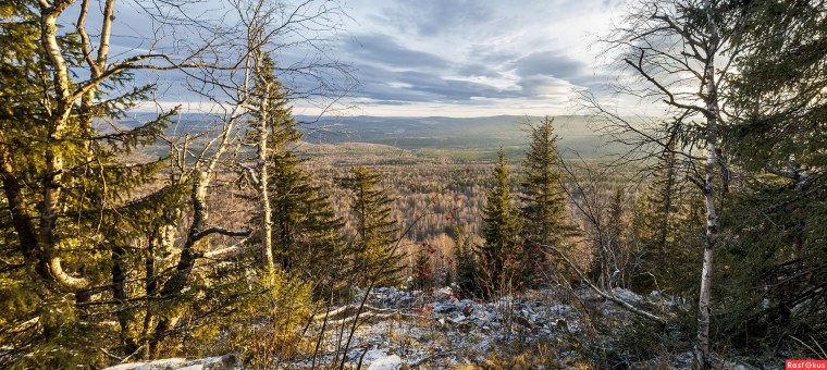 Уссурийская Тайга паеррама
