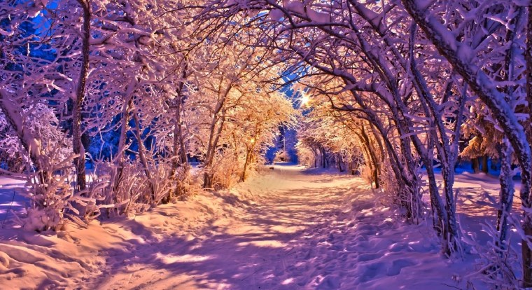 Новогодний пейзаж