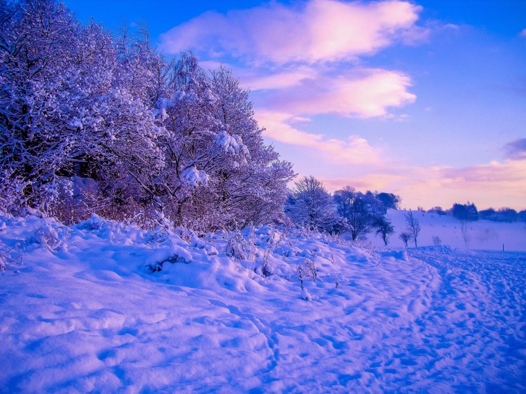 Красивая зима