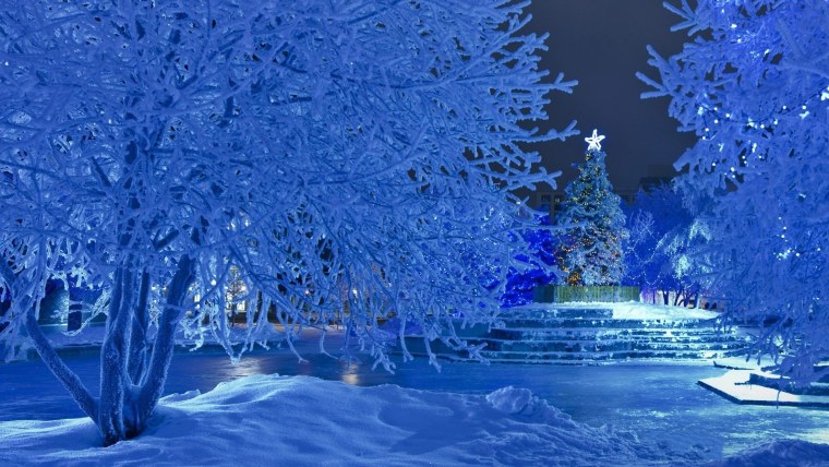 Зимний новогодний пейзаж