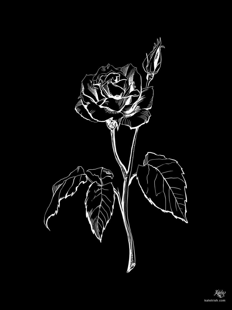 Фиолетовые розы