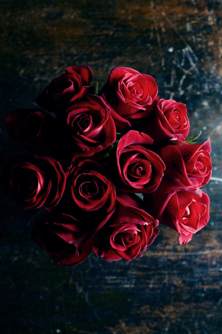 Синие розы Эстетика