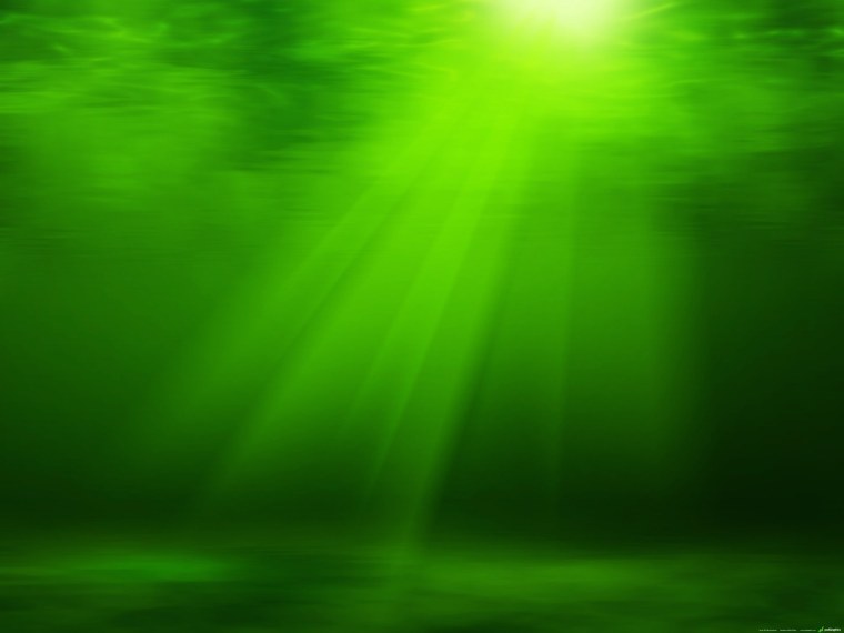 Зеленый свет светофора