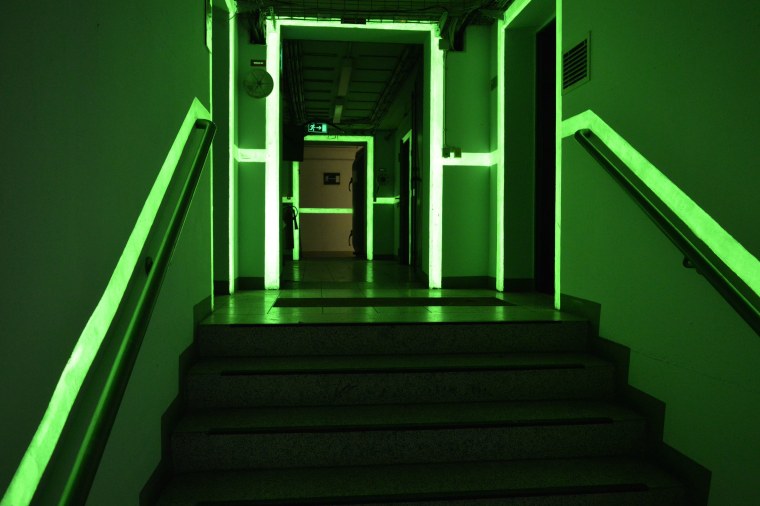 Зелёный свет в лесу