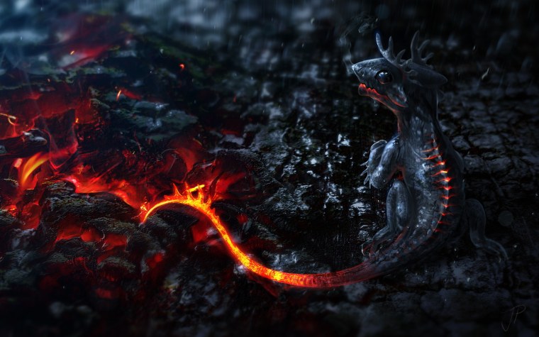 Лавовых саламандр (Lava Salamander)