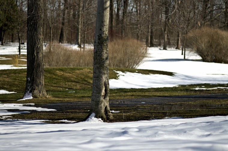 Первые проталины