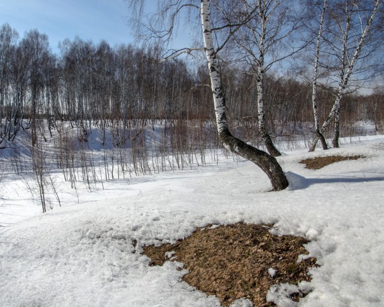 Проталины весной
