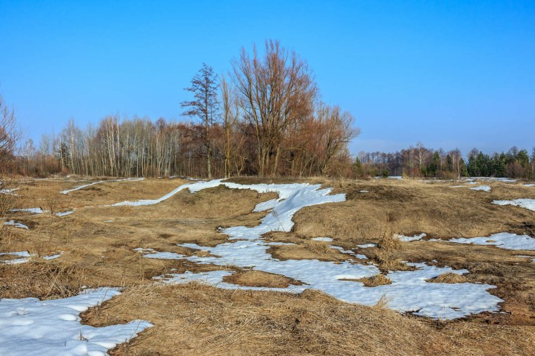 Весенние проталины
