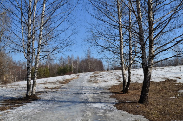 Проталины в городе