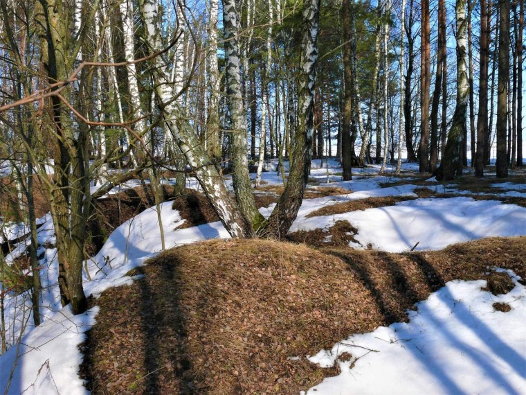 Появляются проталины