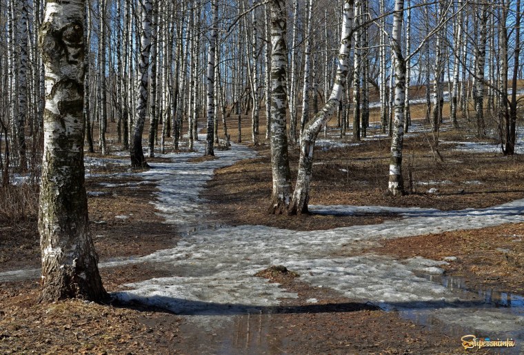 Снежные проталины