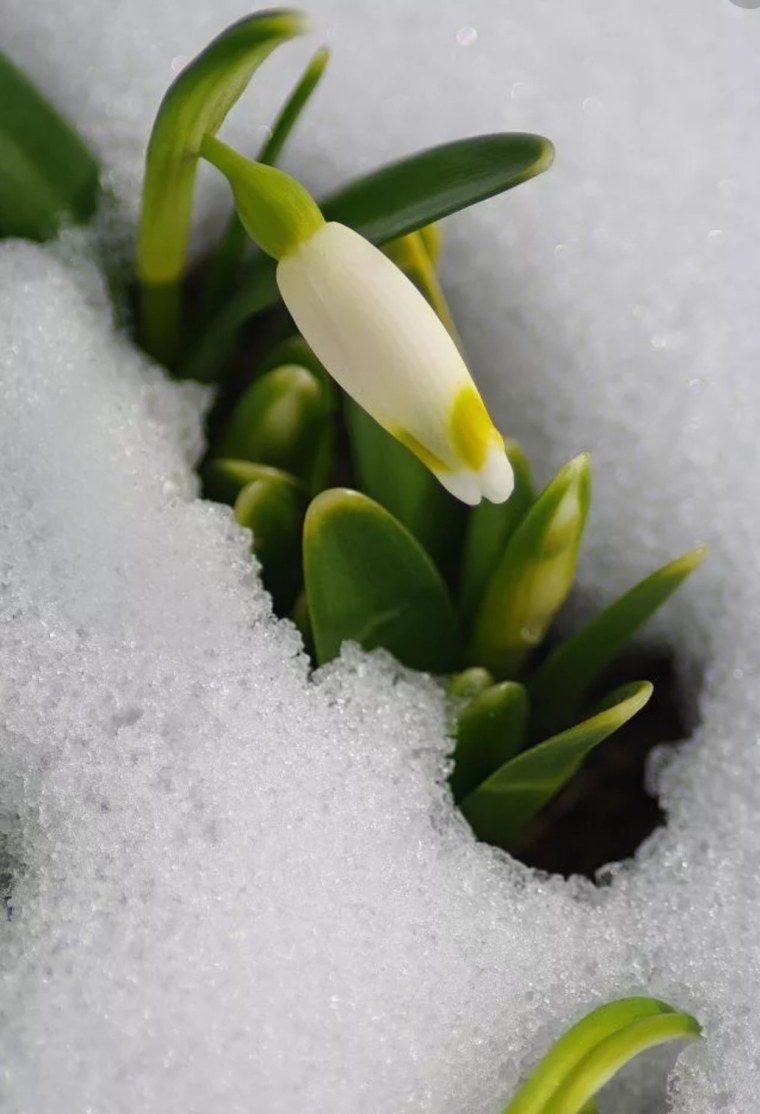 Весенние проталины парк им Кирова
