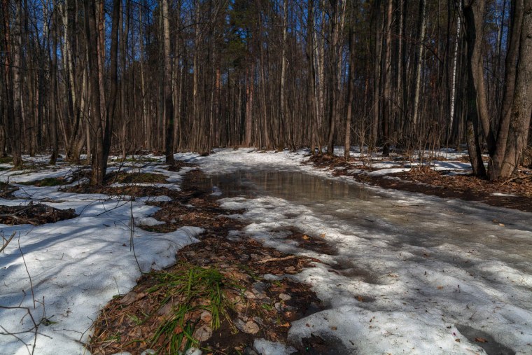 Появляются проталины