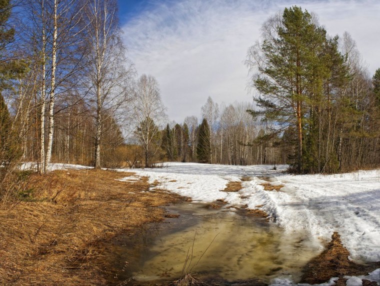 Весенние проталины