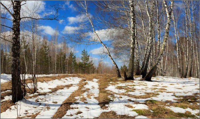 Весенние проталины