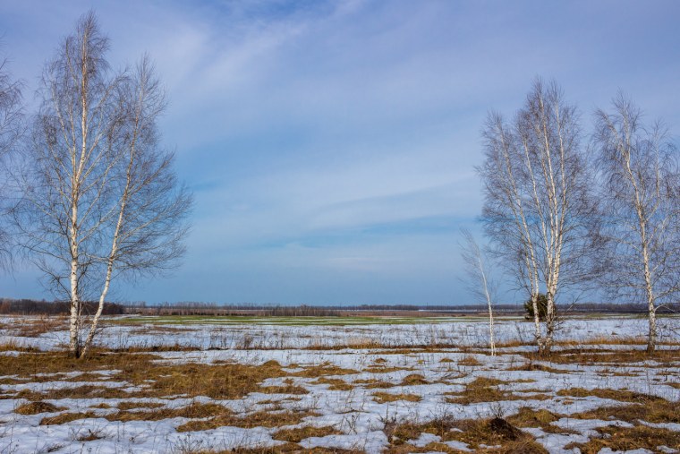 Весна проталины