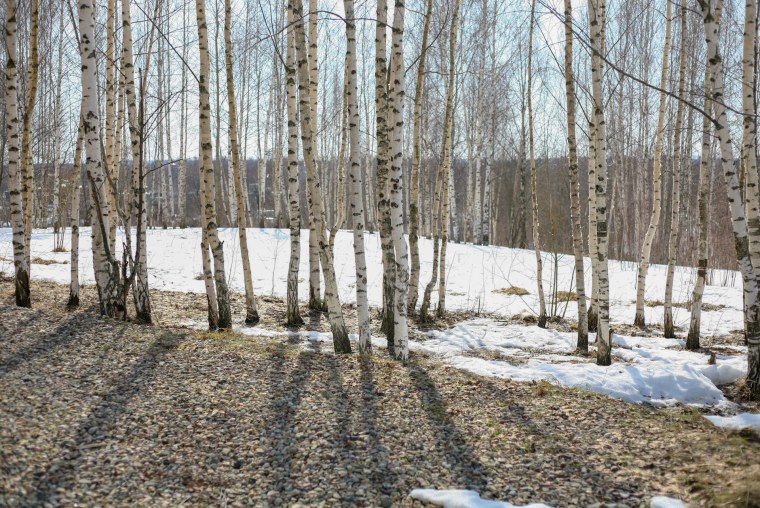 Снег весной