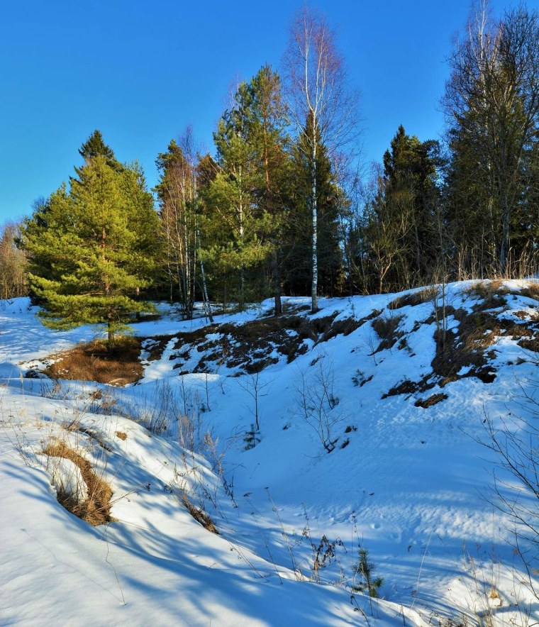 Проталины на полях