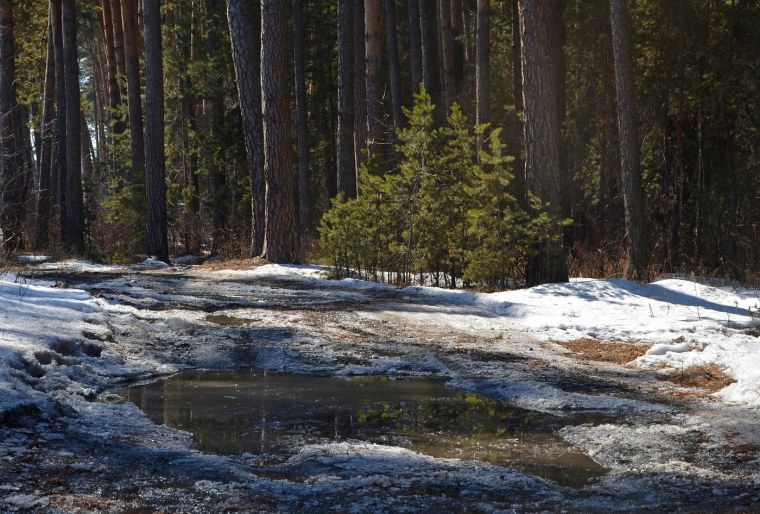 Апрельские проталины