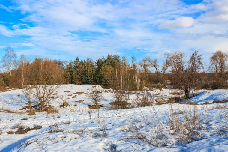 Снежные проталины