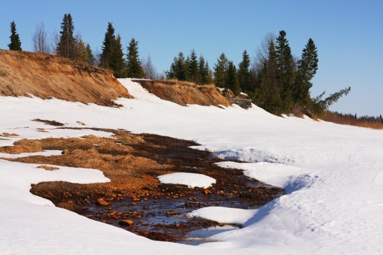 Апрельские проталинки