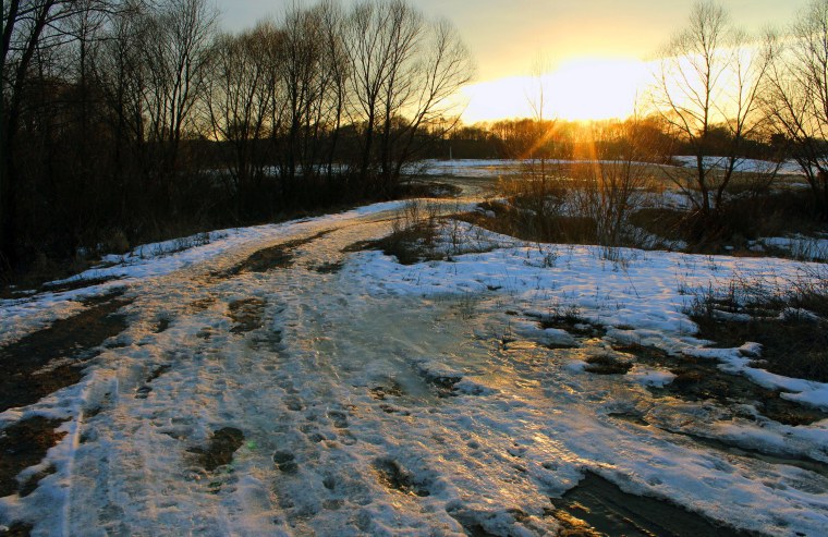 Март проталины