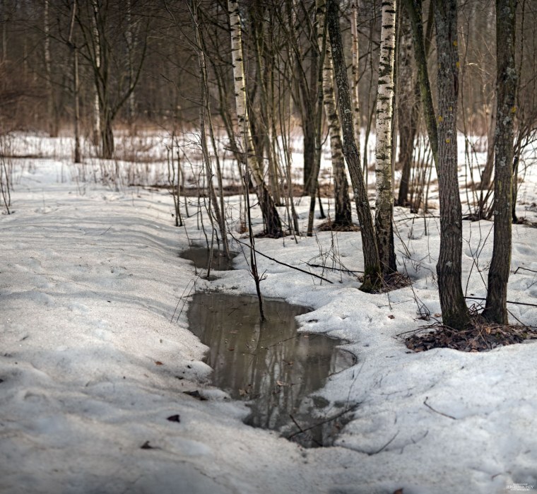 Весна март проталины